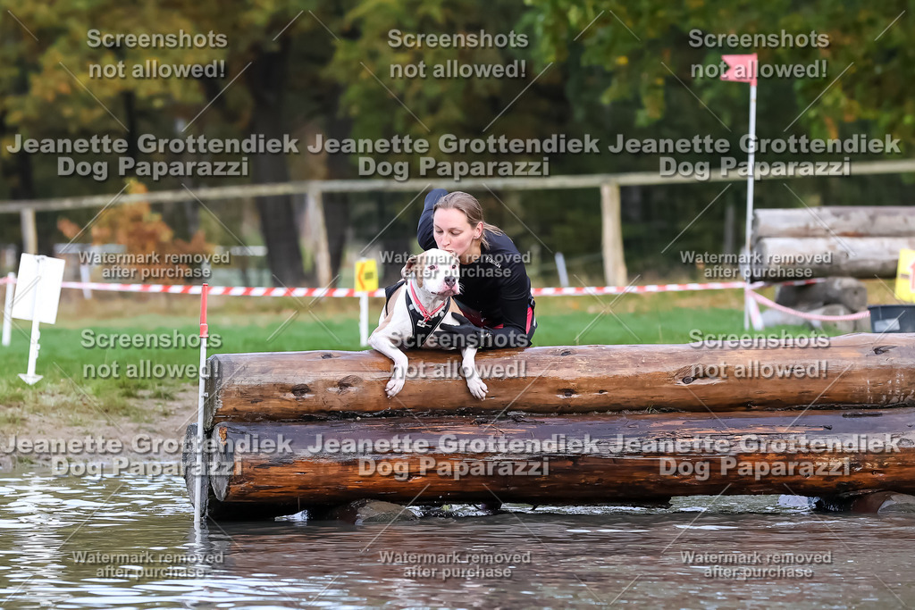 Dog Paparazzi - Strongdog 10-25-6723 | Dog Paparazzi Jeanette Grottendiek Fotografie & Videografie - Realisiert mit Pictrs.com