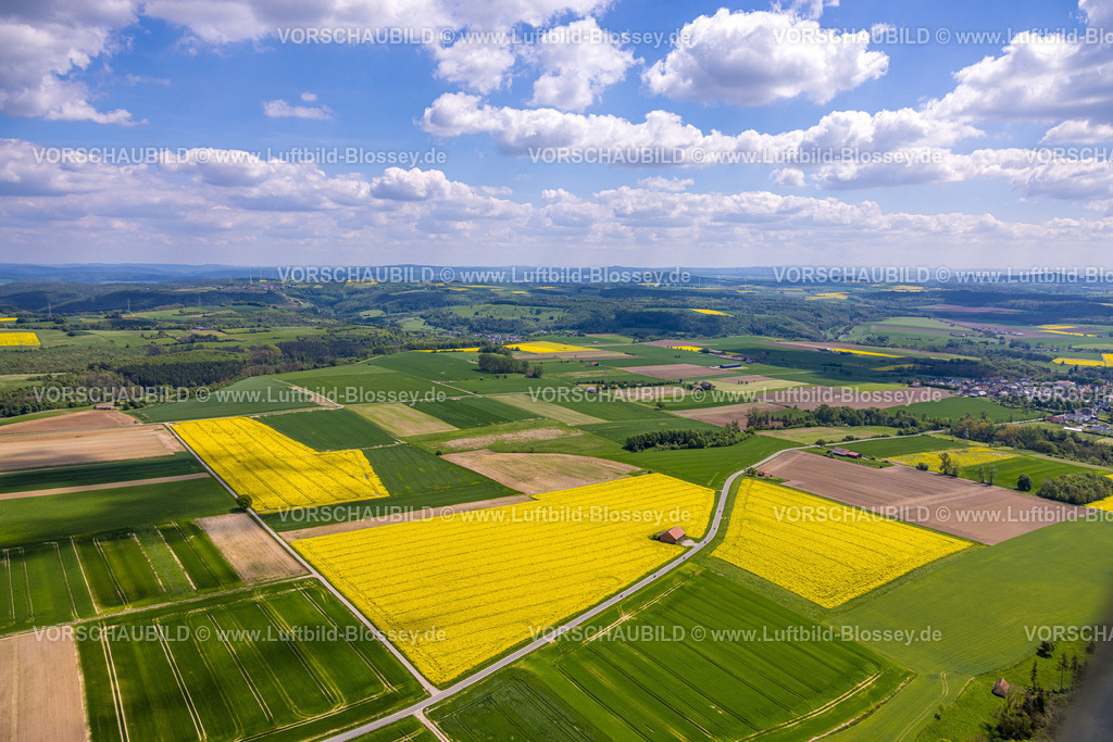 Borgentreich240504929Feldlandschaft | Luftbild, kachelförmige grüne Wiesen und Feldlandschaft mit gelben Rapsfeldern, Natinger Straße mit Motorradfahrer Gruppe und Hütte am Wegesrand, Fernsicht mit blauem Himmel und Wolken, Natingen, Borgentreich, Ostwestfalen, Nordrhein-Westfalen, Deutschland