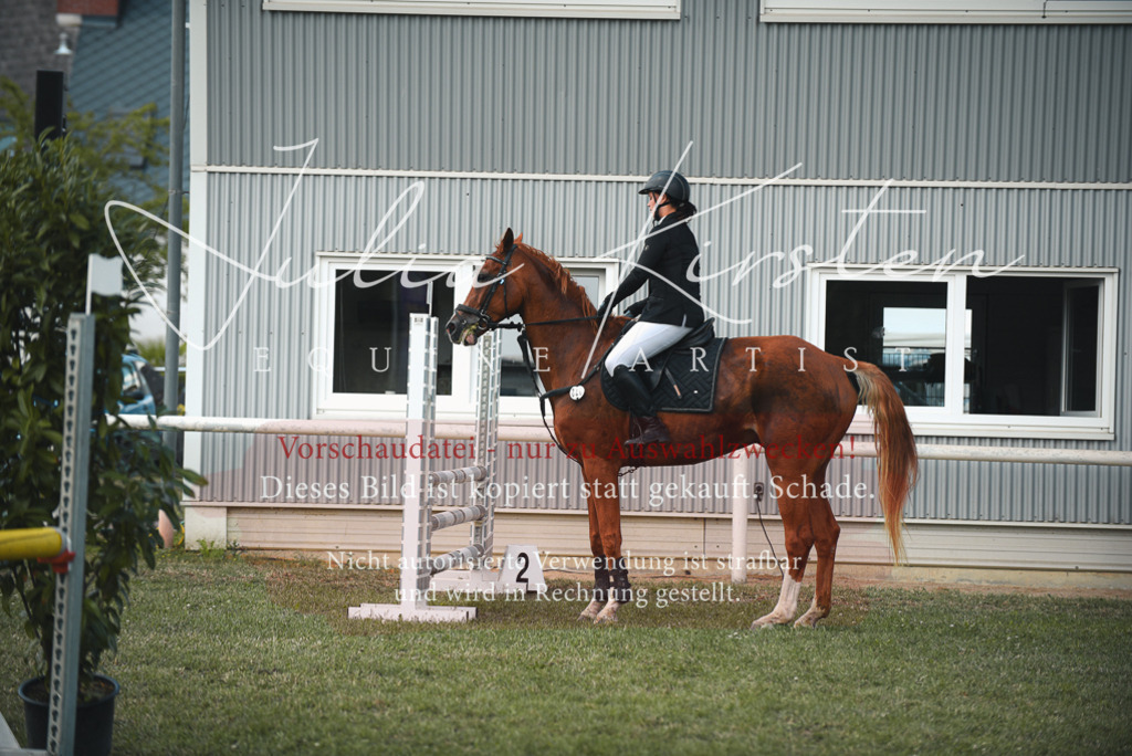 DSC_6487 | Pferde- und Turnierfotografie in Westsachsen. Pferdeportraits, Auftragszeichnungen und intuitive Kunst.