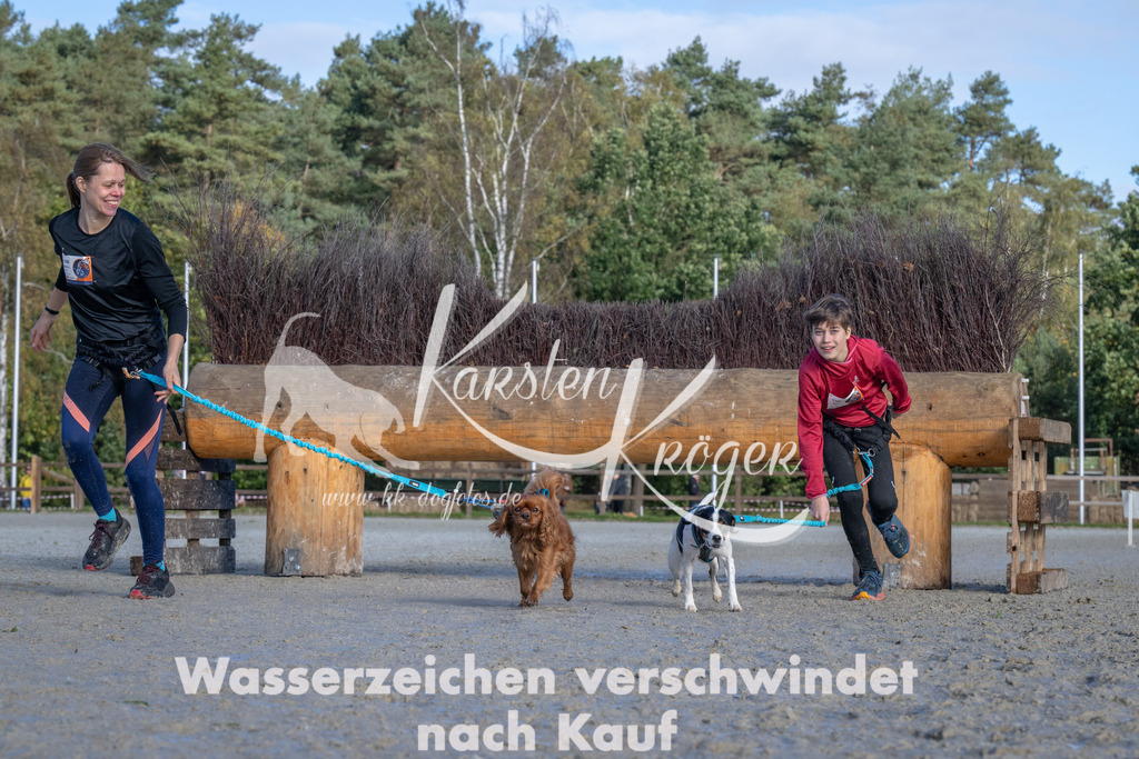 1056-_ZZ93383 | kk-dogfotos