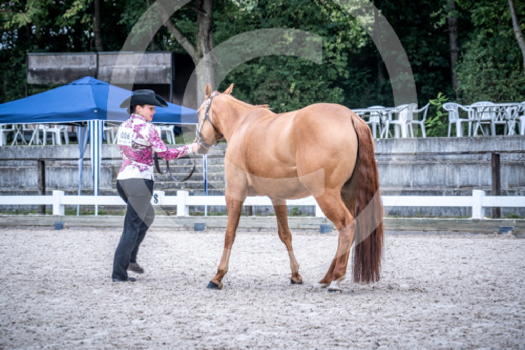HEB06519 | BS-foto