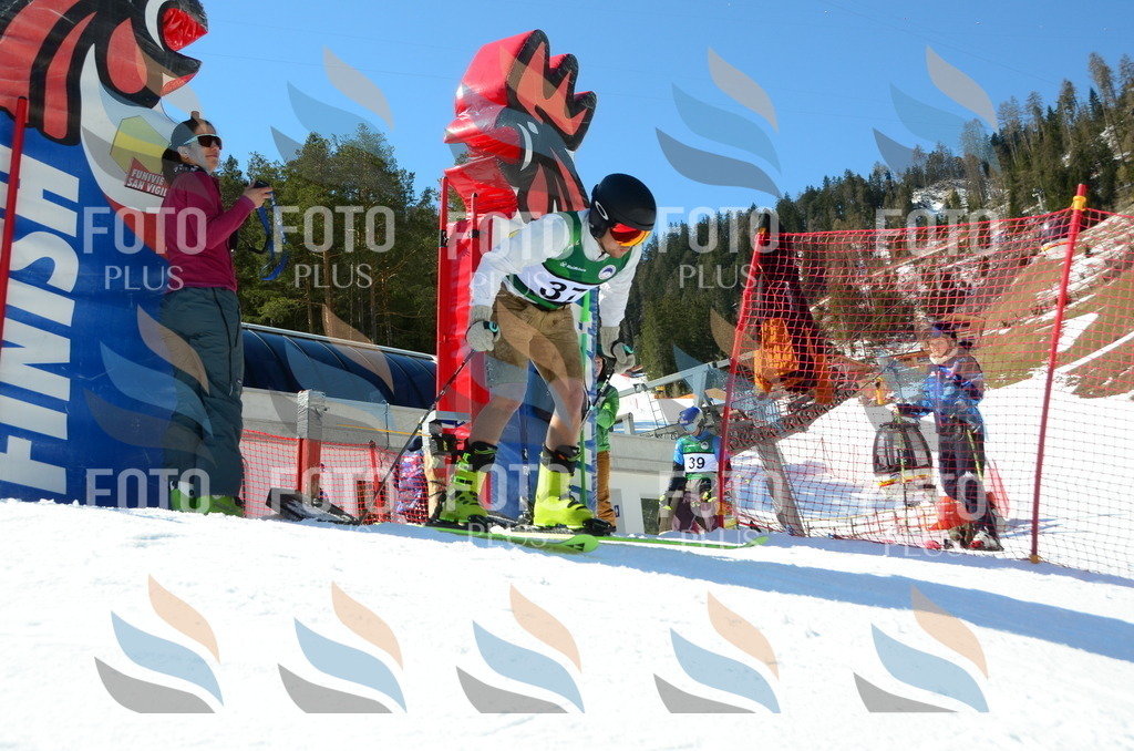 C6974 | holidayphoto