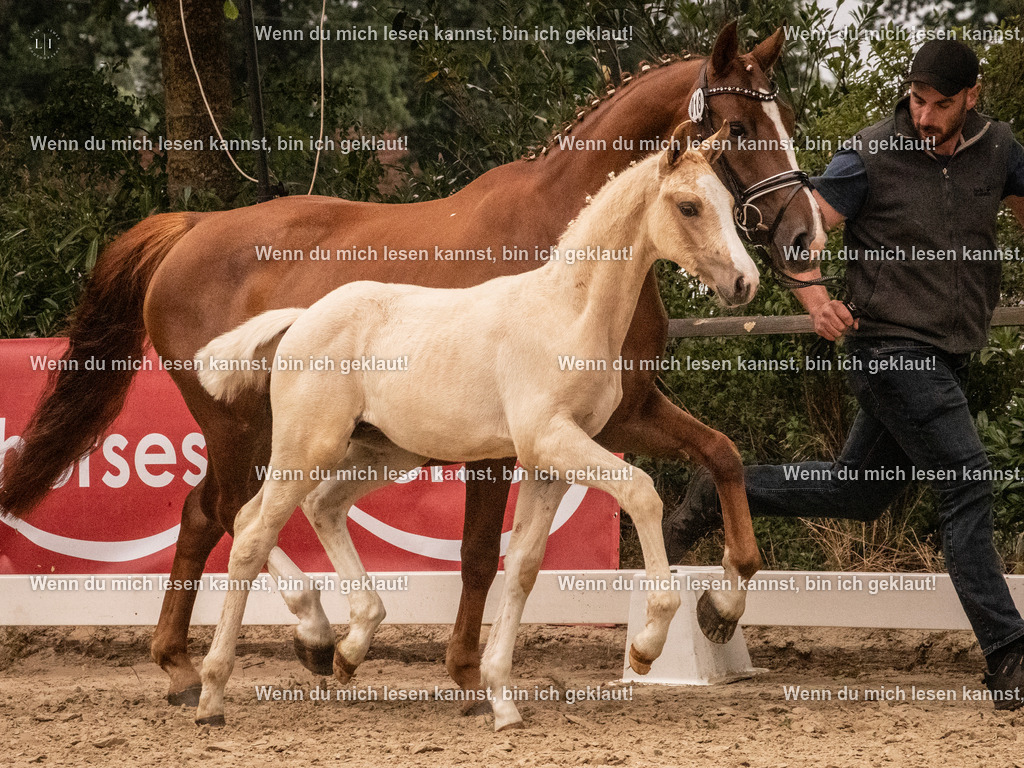 A10I0985 | photographylinaismer - Realisiert mit Pictrs.com