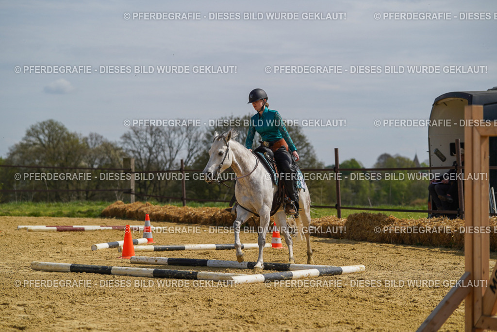 DSC04605 | Pferdegrafie