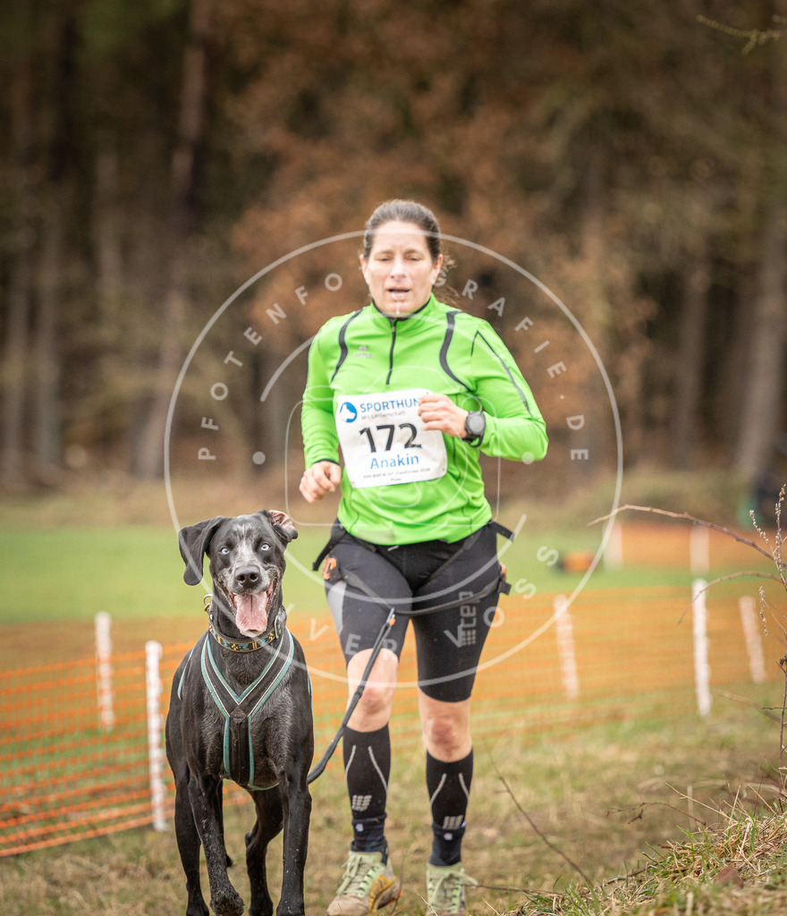 DV3A2323 | Hundefotografie, Tierfotograf, Pfotenfotografie, Fotoshooting Hund, Hunde Portrait, Hundesport, Hundeportraits, Heideshooting, Hunde, Sportfotograf, Hundefotograf, Turnierhundsport, THS,  - Realisiert mit Pictrs.com