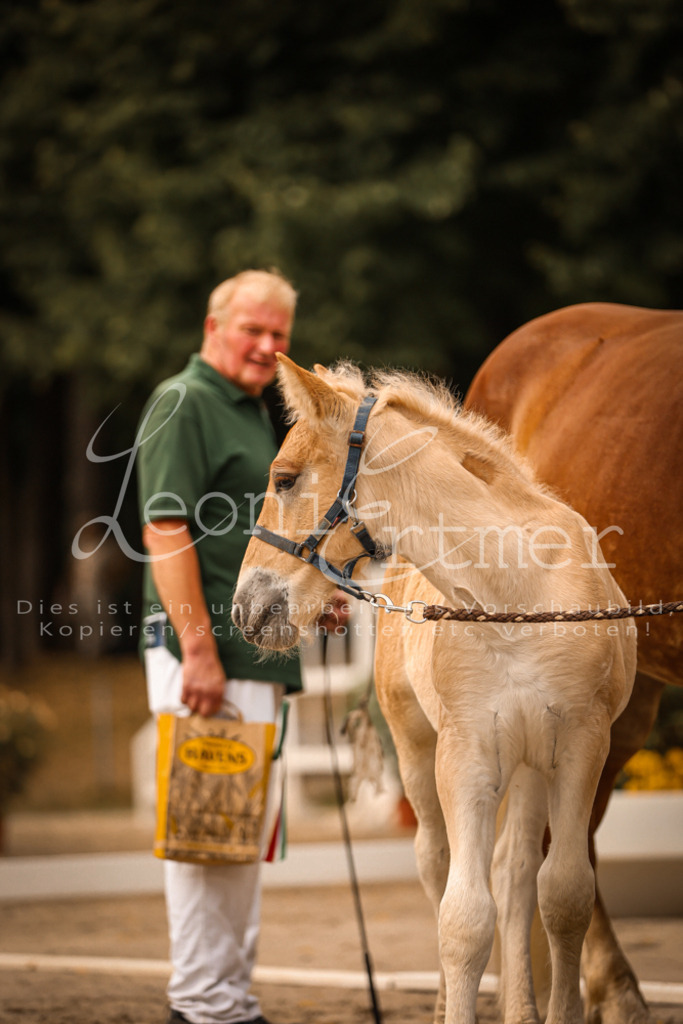 SaSF00117 | Leoni Ertmer Photography - Realisiert mit Pictrs.com