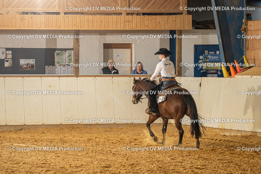 MIT00727 | dv-media-shop - Realisiert mit Pictrs.com