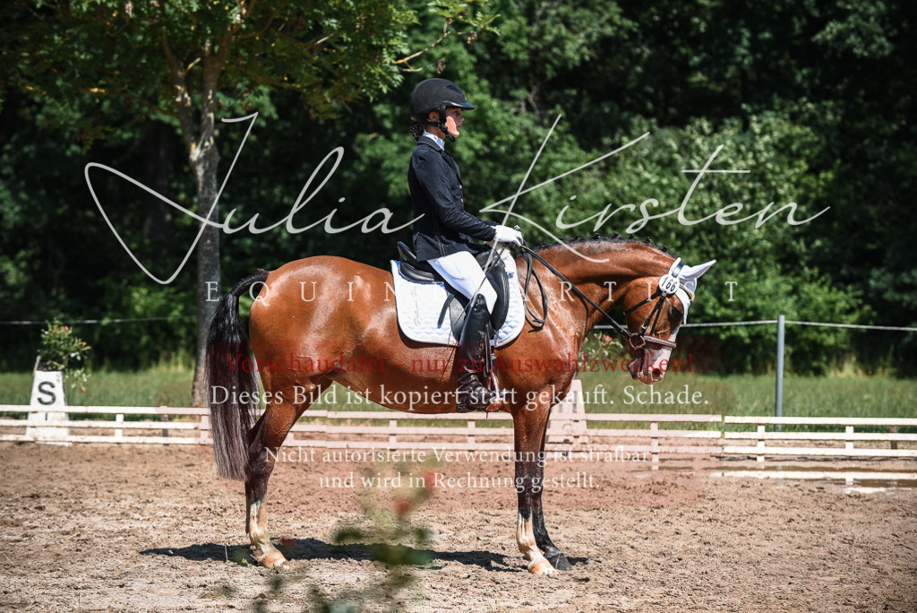 DSC_3189 | Pferde- und Turnierfotografie in Westsachsen. Pferdeportraits, Auftragszeichnungen und intuitive Kunst.