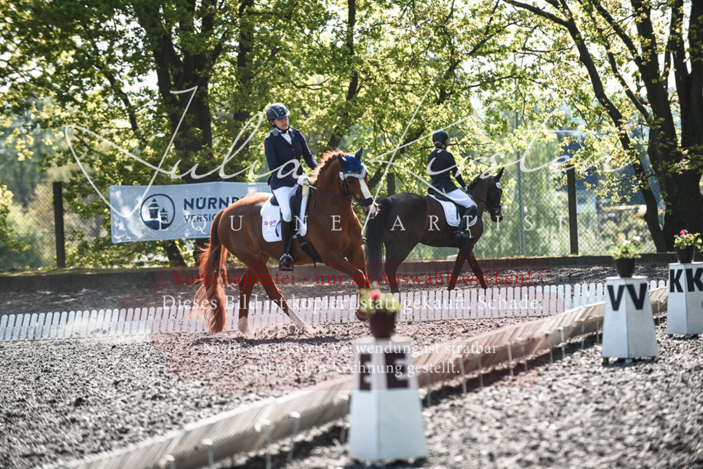 DSC_8867 | Pferde- und Turnierfotografie in Westsachsen. Pferdeportraits, Auftragszeichnungen und intuitive Kunst.
