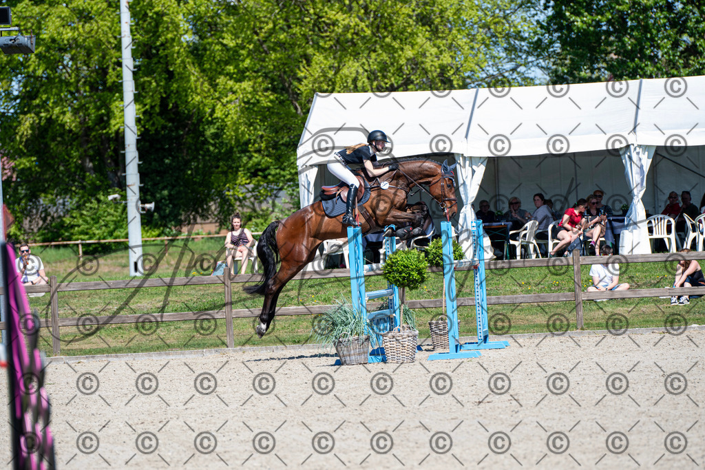 KPT_1277 | andre_photographic