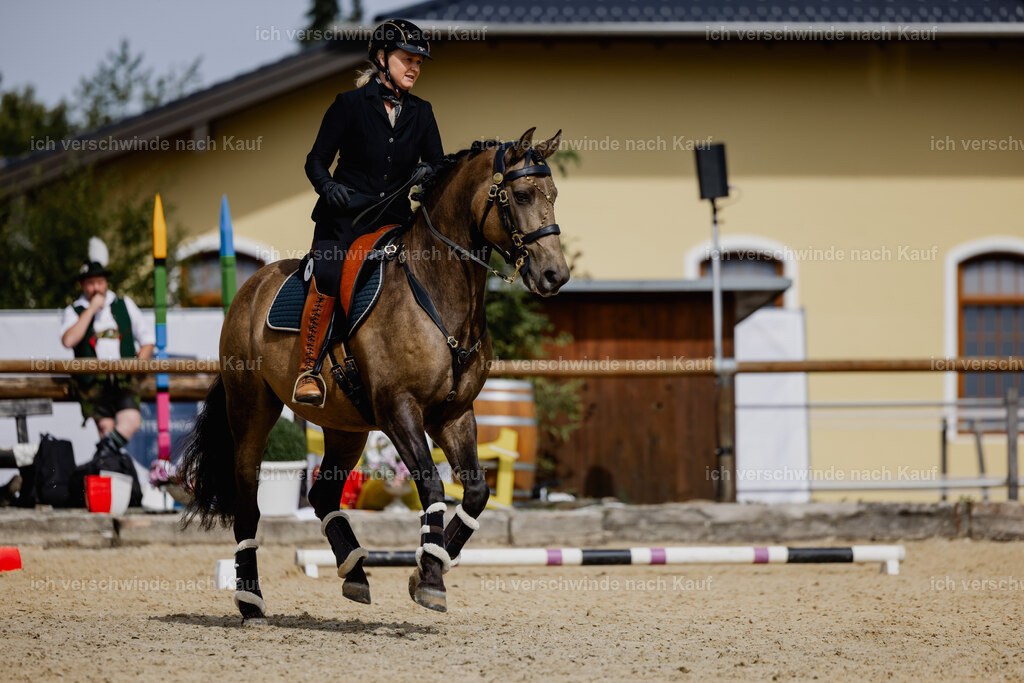 Katja7_FHC2025-20224 | working equitationturnier fotograf videograf stoibphotography marixx film working equitation deutschland reitsport turnierfotografie eventfotografie equestrian events