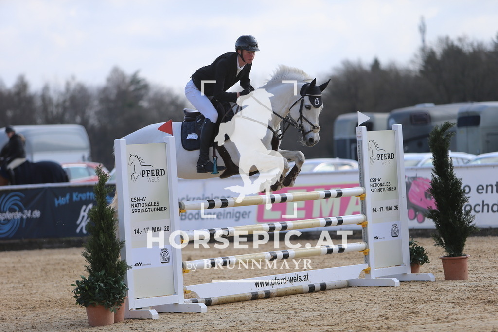 DL2Q8750 | Willkommen bei Brunnmayr - Design & Fotografie – Ihrem Spezialisten für Reitturniere und Pferdeveranstaltungen in Oberösterreich, Salzburg und Bayern! Seit über 17 Jahren sind wir leidenschaftlich dabei.