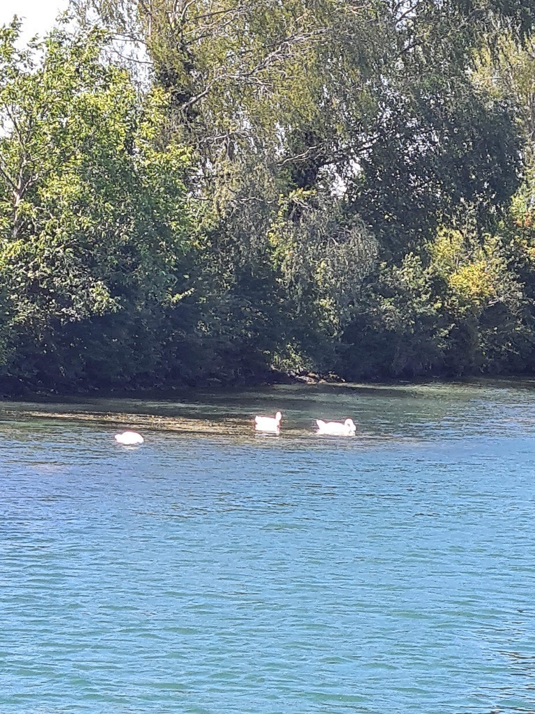 20200712_112520 | Heilkarten - Realisiert mit Pictrs.com