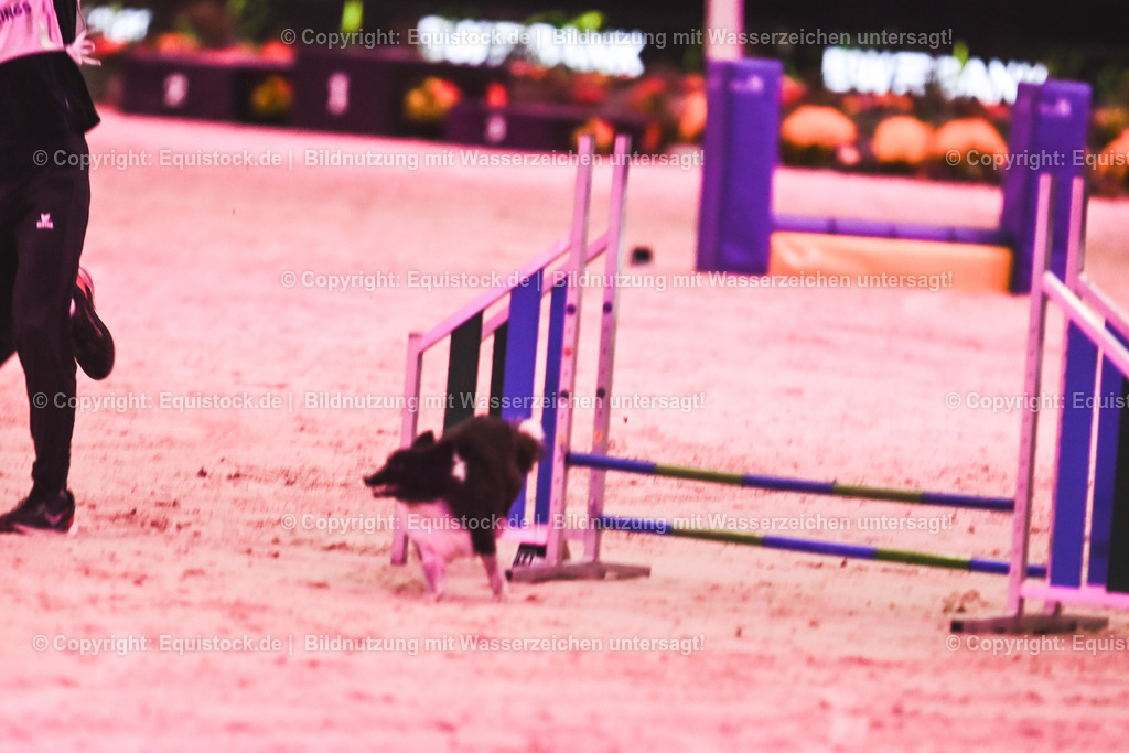 20241113_Showabend_TOMsPiC_0311 | Foto: Thomas Hartig