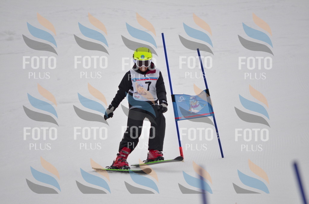 C0241 | holidayphoto