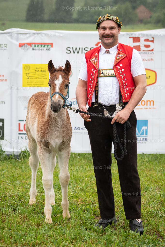 Schwingen -  Thurgauer Kantonales 2025 | Thundorf, 4.5.25, Schwingen - Thurgauer Kantonales.