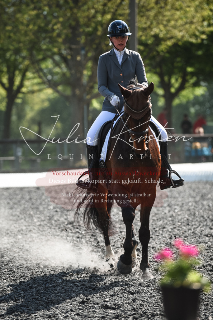 DSC_8949 | Pferde- und Turnierfotografie in Westsachsen. Pferdeportraits, Auftragszeichnungen und intuitive Kunst.