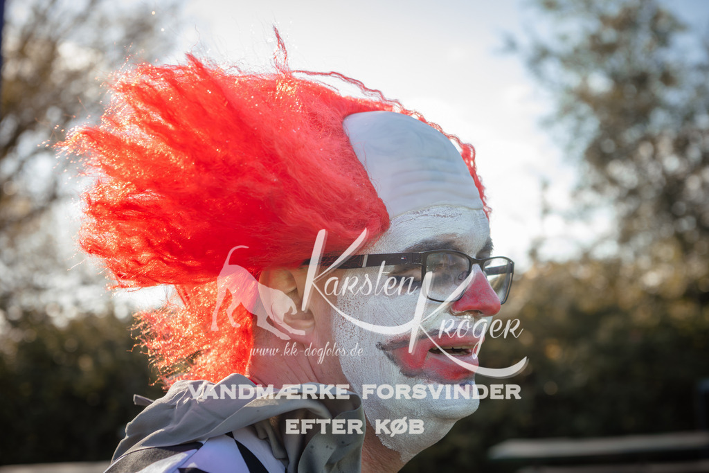 1211_ZZ94971 | kk-dogfotos