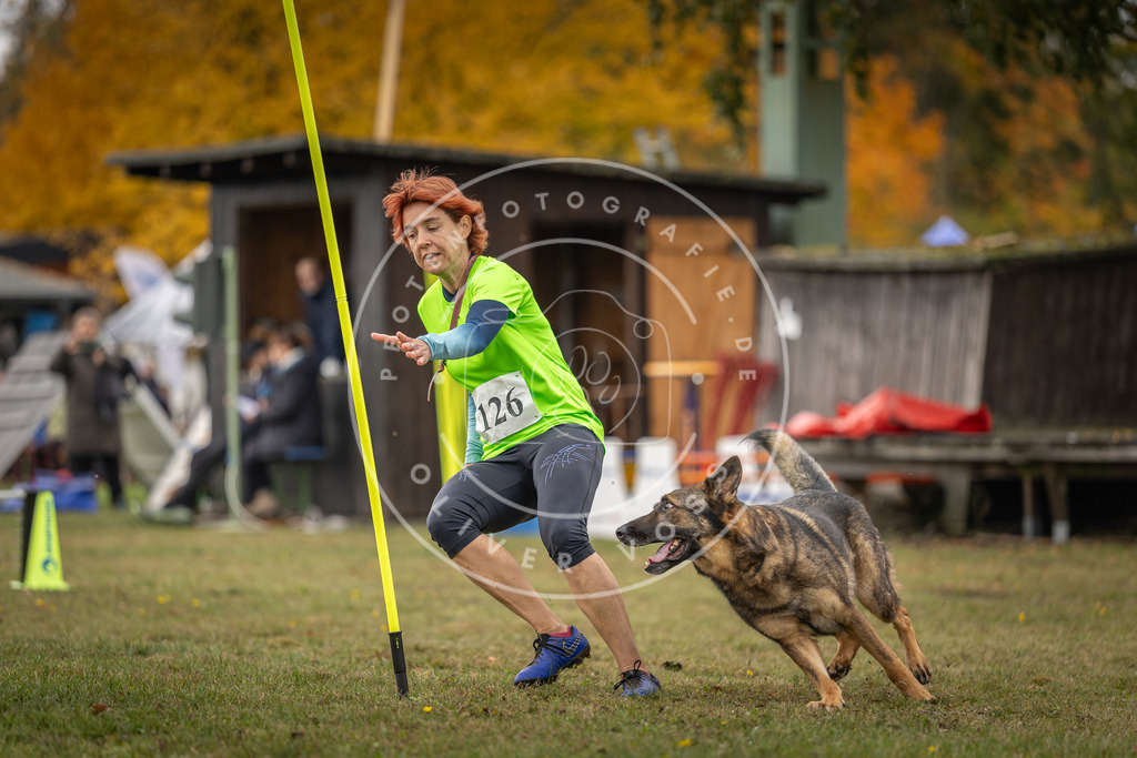 Pfotenfotografie_DV3A6718 | Hundefotografie, Tierfotograf, Pfotenfotografie, Fotoshooting Hund, Hunde Portrait, Hundesport, Hundeportraits, Heideshooting, Hunde, Sportfotograf, Hundefotograf, Turnierhundsport, THS,  - Realisiert mit Pictrs.com