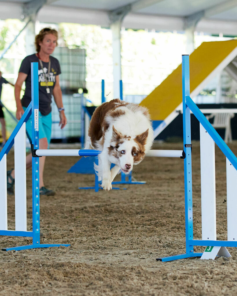 580A0053 | Peter Fridle Fotografie - Realisiert mit Pictrs.com