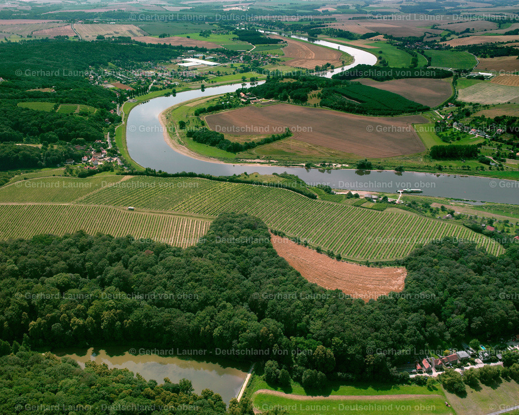 2417466 | Weinberge bei Seußlitz