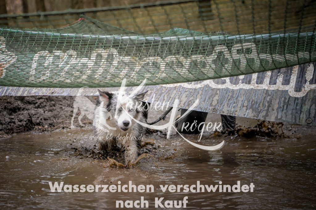 0915_ZZ96940 | kk-dogfotos