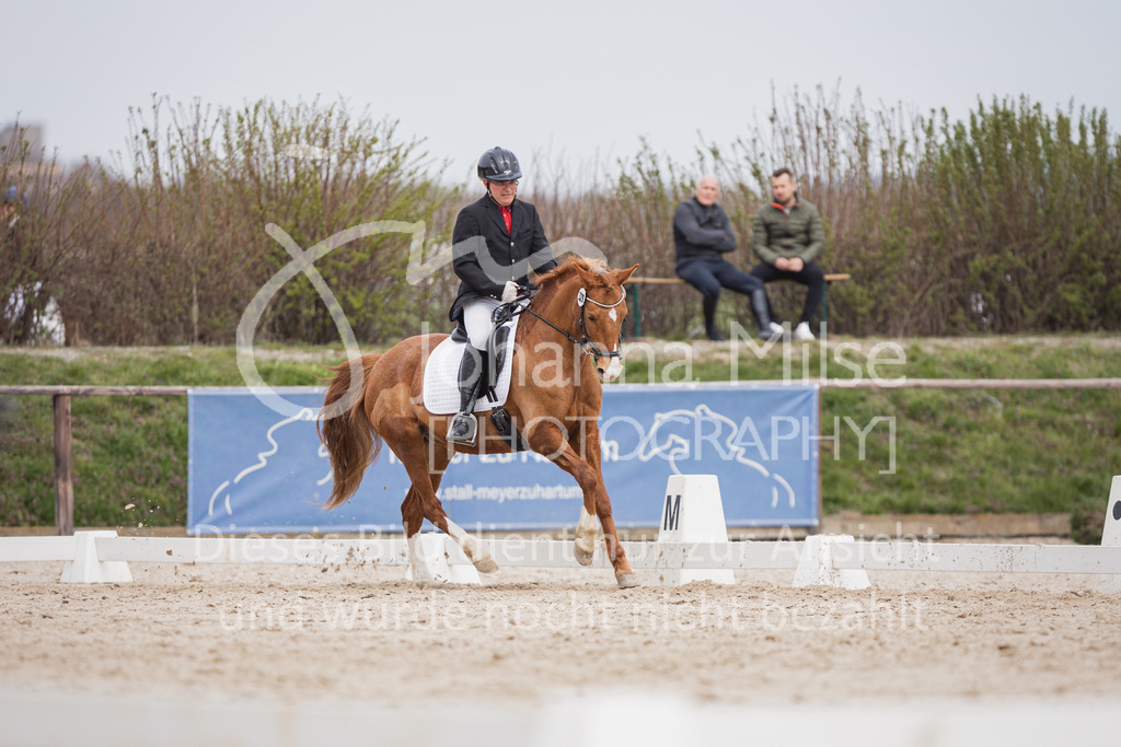 230410_Frühlingsfest_DressurWBA2-328 | Deine schönsten Turniermomente als professionelle Fotos! Entdecke hochwertige Pferdesport-Fotografie im Online-Shop. Jetzt Fotos finden & bestellen!