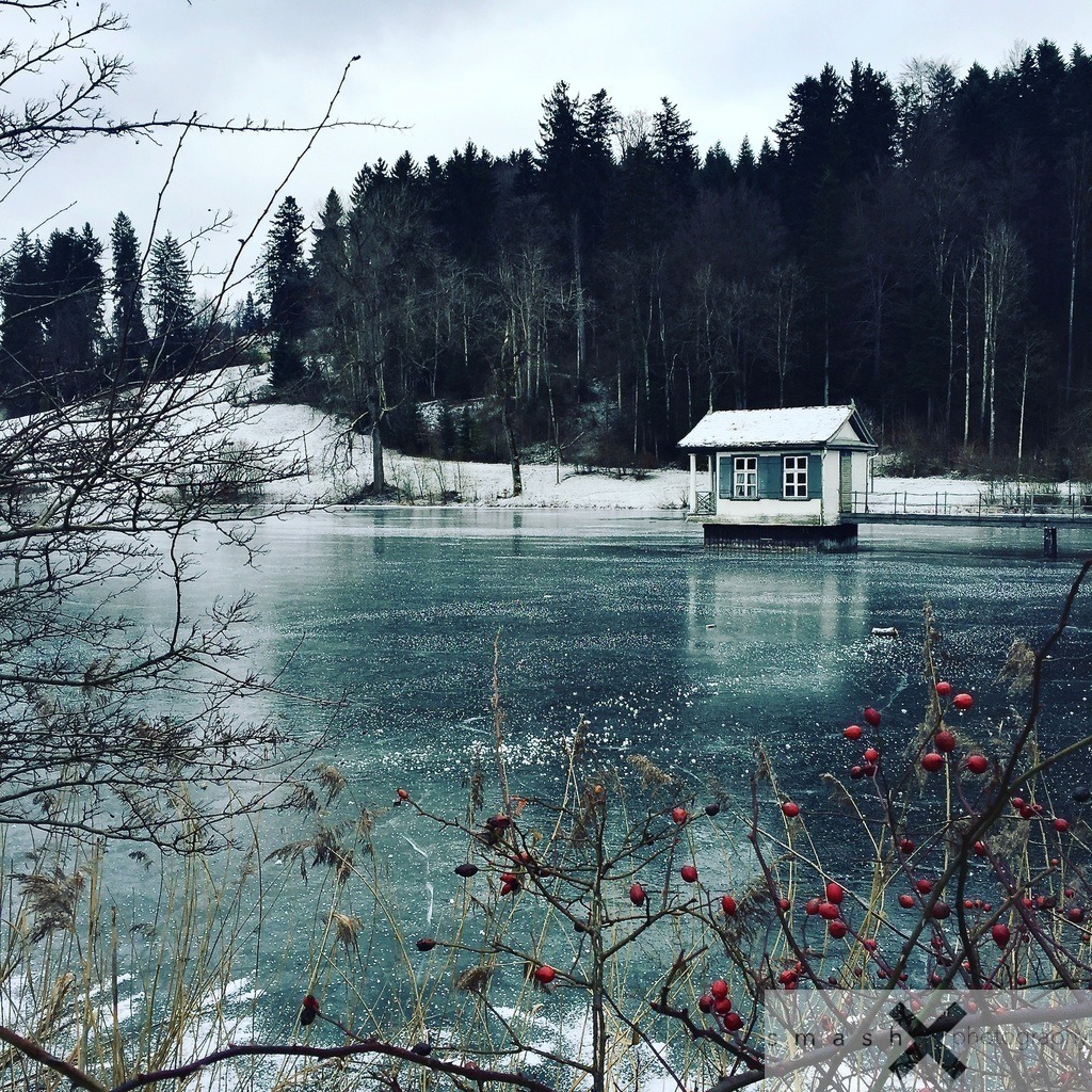 Frozen Dream | Wenigerweiher (Switzerland/Schweiz)
