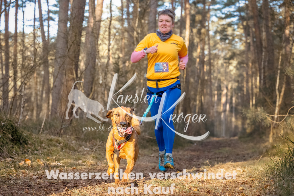 0817_ZZ90323-Bearbeitet | kk-dogfotos