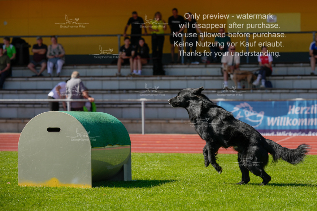 Sonntag_VK Hindernis (80 von 671) | stephaniefillaphotographie - Realisiert mit Pictrs.com