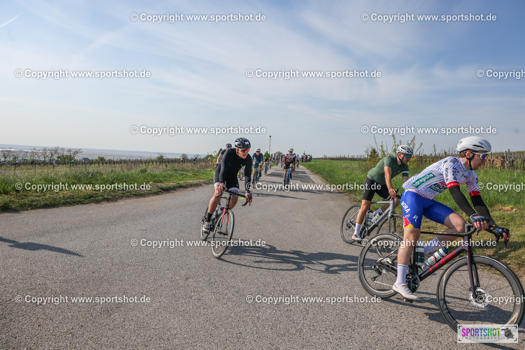 007A8940 | Neusiedlersee Radmarathon #neusiedlerseeradmarathon #neusiedlersee #nrm26 #yourpictrs #sportshot_your_pictrs