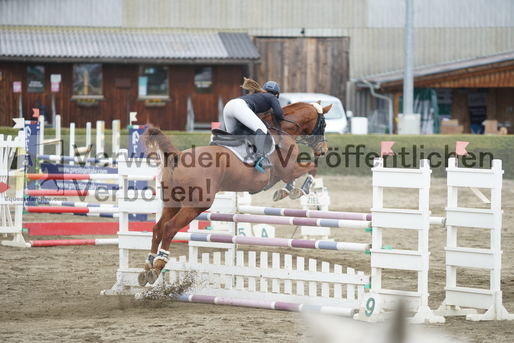 DSC01330 | equestrian-live-com