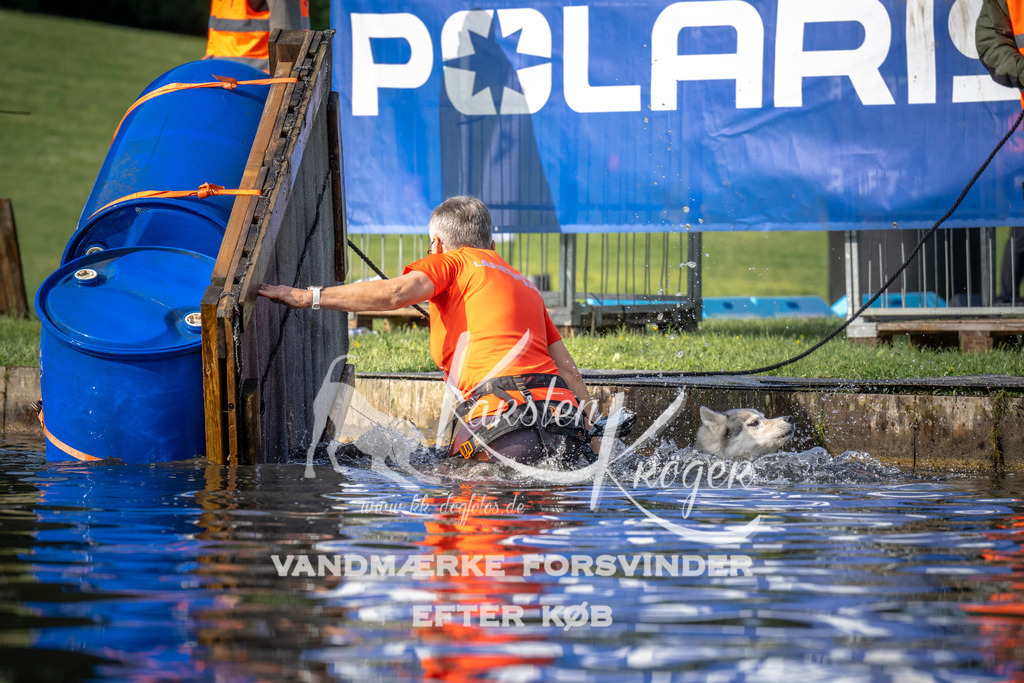 _ZZ939940710 | kk-dogfotos