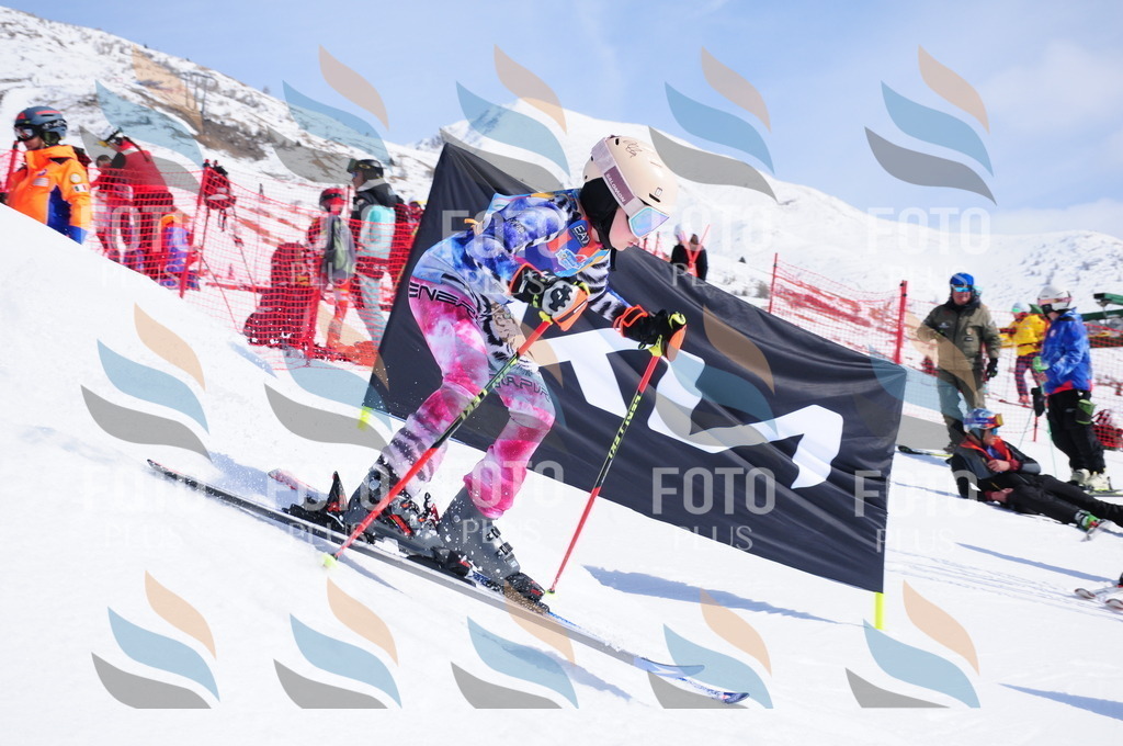 DSC_1309 | holidayphoto