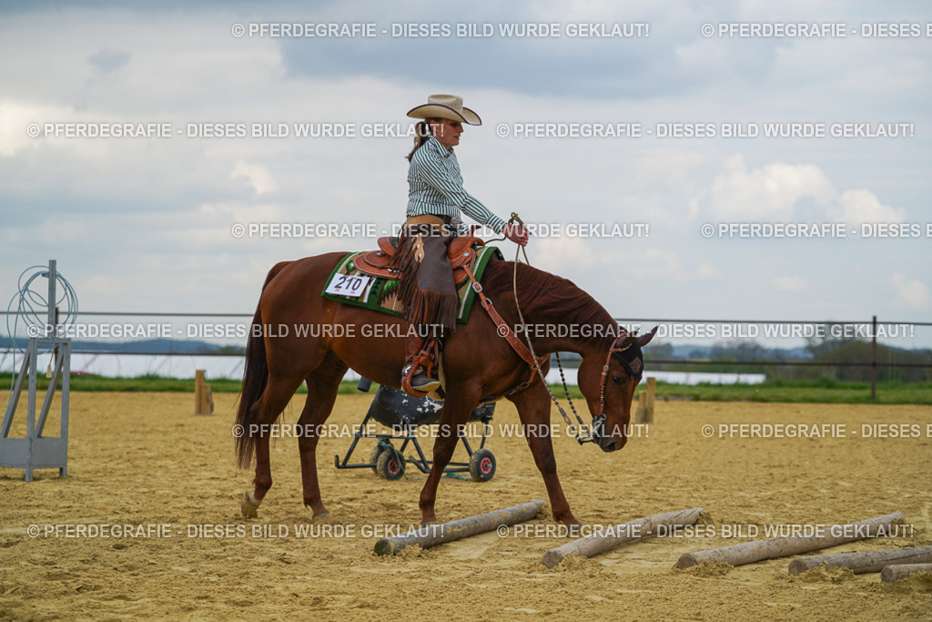 DSC06942 | Pferdegrafie