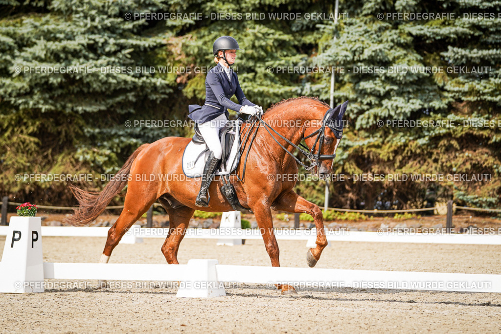 DSC07404 | Pferdegrafie