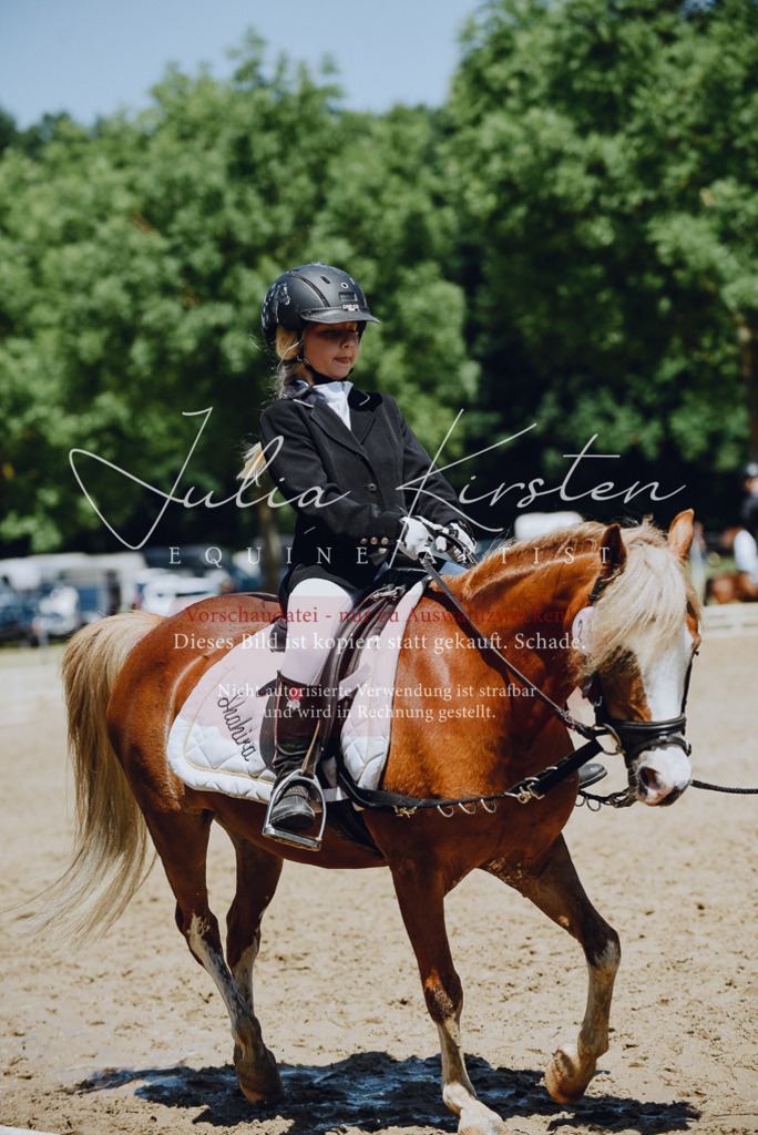 DSC_2251 | Pferde- und Turnierfotografie in Westsachsen. Pferdeportraits, Auftragszeichnungen und intuitive Kunst.