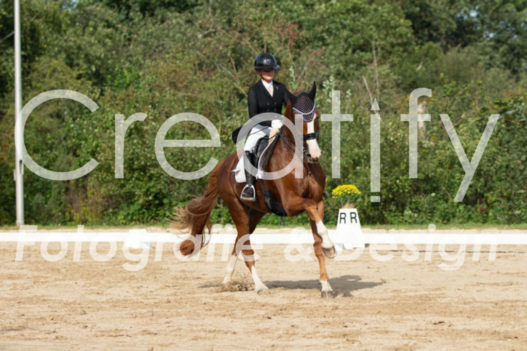 IMG_4328 | Creatify Fotografie