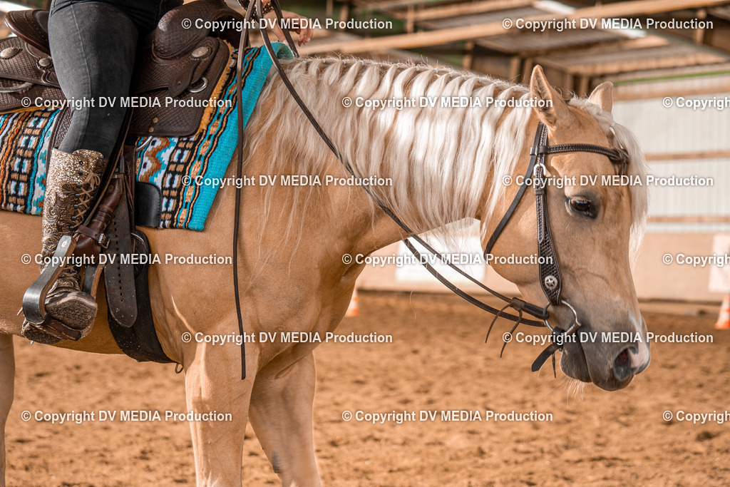 BAL00513 | dv-media-shop - Realisiert mit Pictrs.com