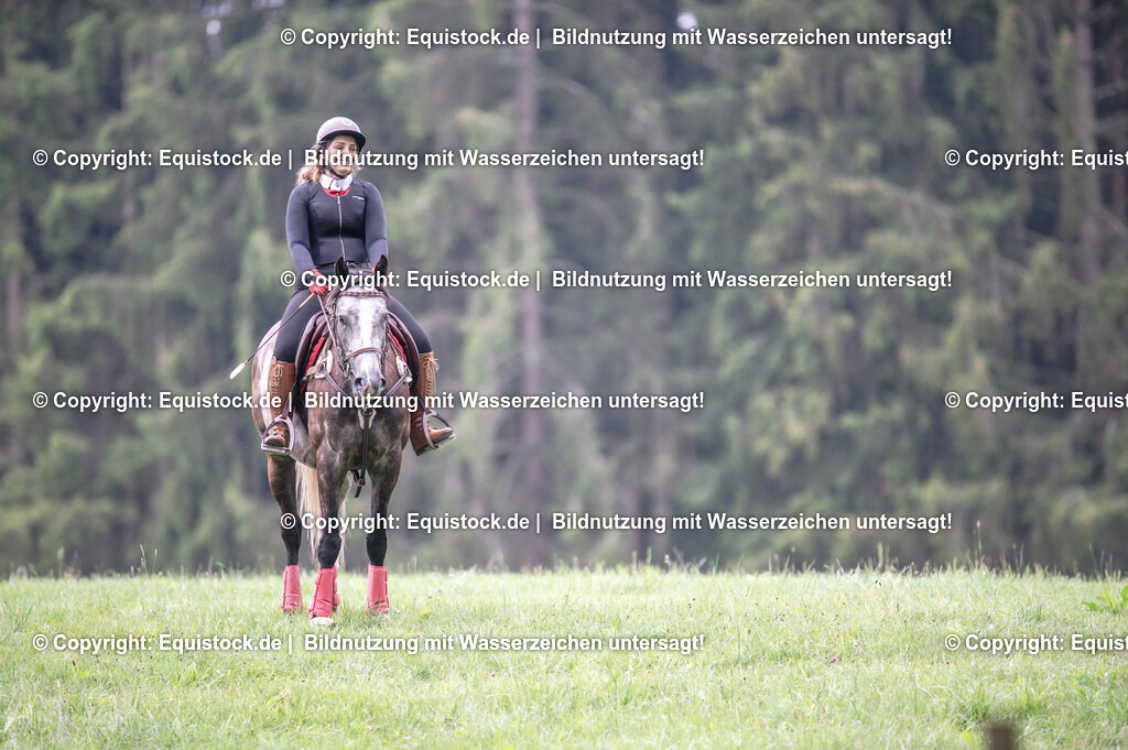 20250726_Vielseitigkeitslehrgang-Marbach_0241 | Foto: Thomas Hartig