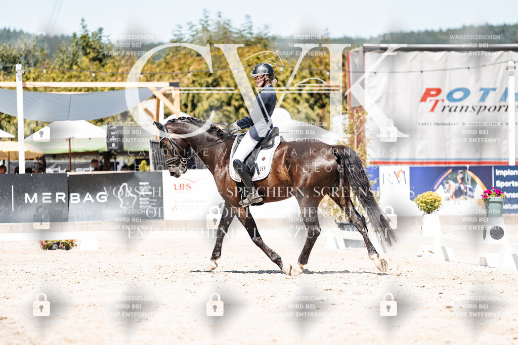CK900313 | Turnierfotografie Pferdefotografie Trier Rheinland-Pfalz Pferdesport Reitsport Tierfotografie Sportfotografie Pferdevideo Pferdevideografie Equestrianvideography equestrianphotography  - Realisiert mit Pictrs.com