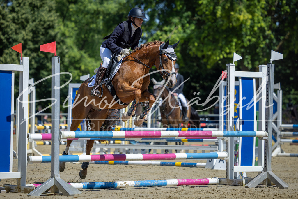 20260704-_3LI7719 | Tierfotografie Pferde, Hunde, Katzen, Haustiere.
Turnierfotografie Reitturniere, Reiten, Springreiten, Dressur in Hanau, dem Main-Kinzig-Kreis und dem Rhein-Main- Gebiet um Frankfurt