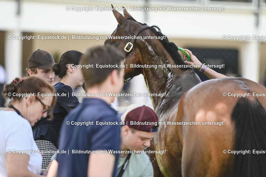 20230527_27_CCI4_Gelände_0283 | equistock