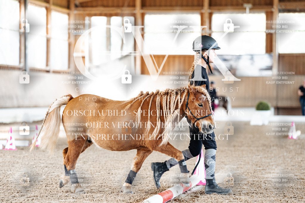 CK905238 | Turnierfotografie Pferdefotografie Trier Rheinland-Pfalz Pferdesport Reitsport Tierfotografie Sportfotografie Pferdevideo Pferdevideografie Equestrianvideography equestrianphotography  - Realisiert mit Pictrs.com