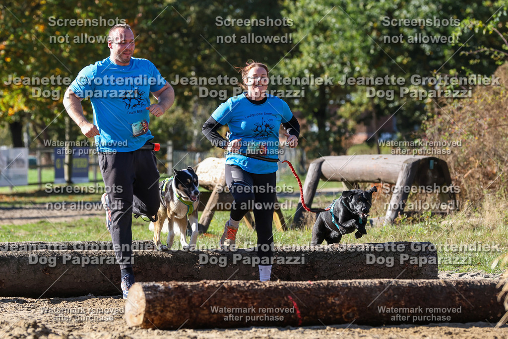 Dog Paparazzi - Strongdog 10-25-2812 | Dog Paparazzi Jeanette Grottendiek Fotografie & Videografie - Realisiert mit Pictrs.com