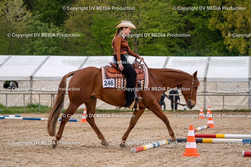 Heiligenwald Tag 1-107 | dv-media-shop - Realisiert mit Pictrs.com