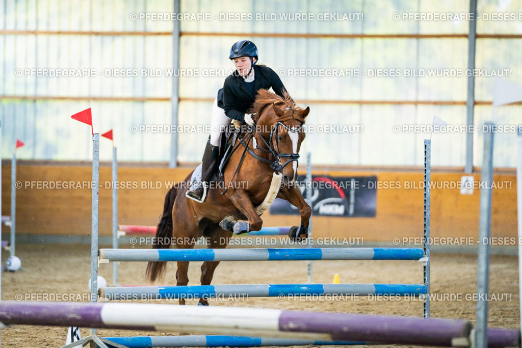 DSC00463 | Pferdegrafie