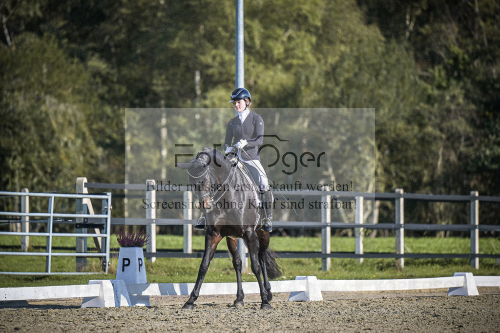 DOS_B855 | Entdecke hochwertige Reitturnierfotos von Foto Oger. Professionell, emotional und authentisch – jetzt Lieblingsmomente im Shop bestellen.Deutschlandweite Turnierfotografie. - Realisiert mit Pictrs.com