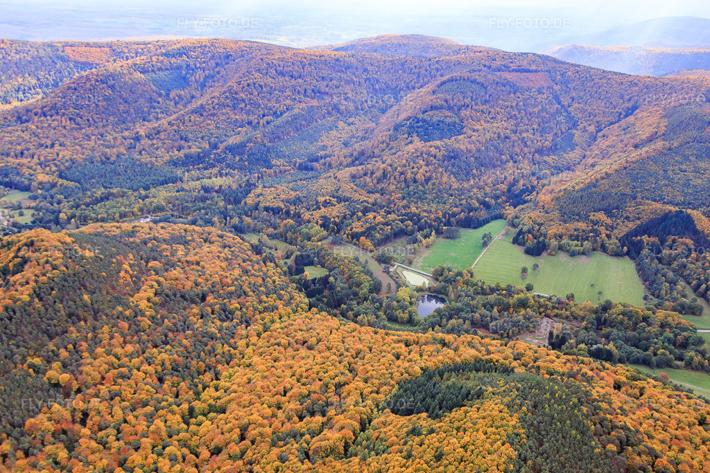 Luftbild: Fischweiher am Schwarzbach in Dambach im Bundesland Bas-Rhin in Frankreich.Foto: IMG_084651.jpg vom 23.10.2015 durch Werner Riehm/FLY-FOTO.deAuflösung des Originals: 5472 x 3648 px