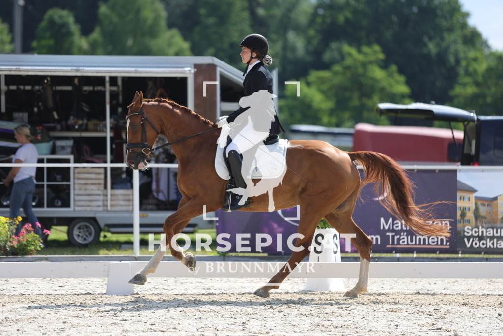 0P6A9010 | Willkommen bei Brunnmayr - Design & Fotografie – Ihrem Spezialisten für Reitturniere und Pferdeveranstaltungen in Oberösterreich, Salzburg und Bayern! Seit über 17 Jahren sind wir leidenschaftlich dabei.